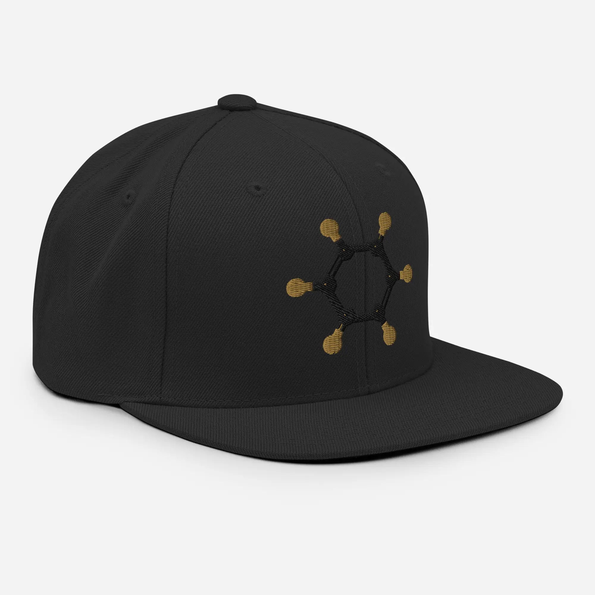 Benzeen Snapback Hat R-benz