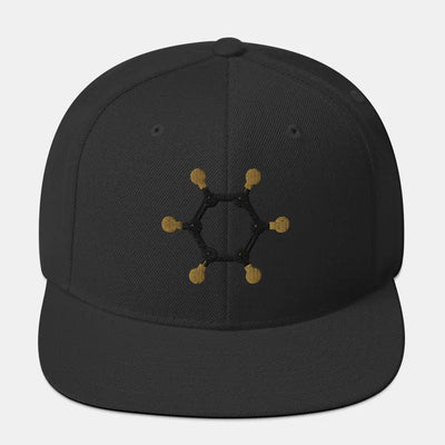 Benzeen Snapback Hat R-benz